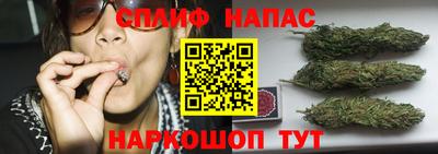 ГАЛЛЮЦИНОГЕННЫЕ ГРИБЫ Можга