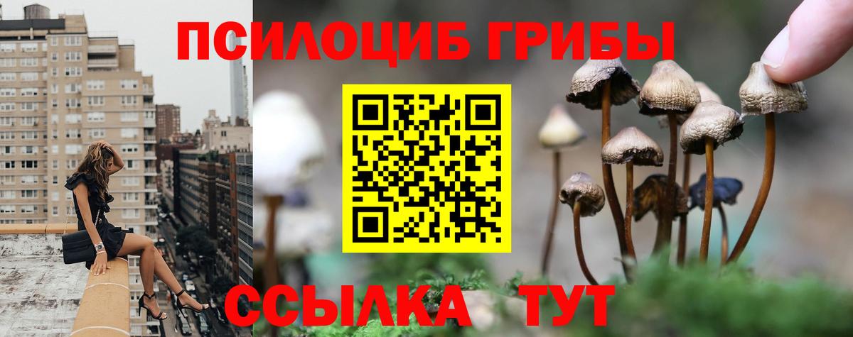 Шадринск  Галлюциногенные грибы мухоморы  Псилоцибиновые грибы ЛСД  Вход с VPN 